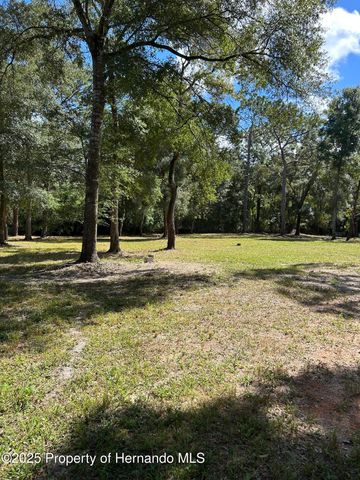 16464 Auburndale Lane, Spring Hill(pasco), FL 34610