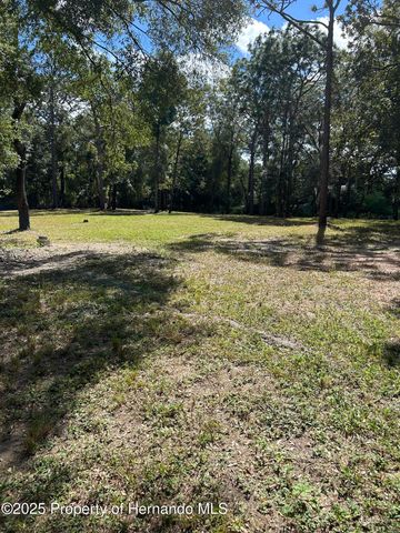 16464 Auburndale Lane, Spring Hill(pasco), FL 34610