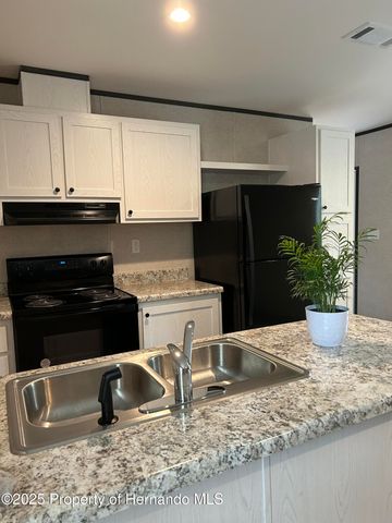 16464 Auburndale Lane, Spring Hill(pasco), FL 34610