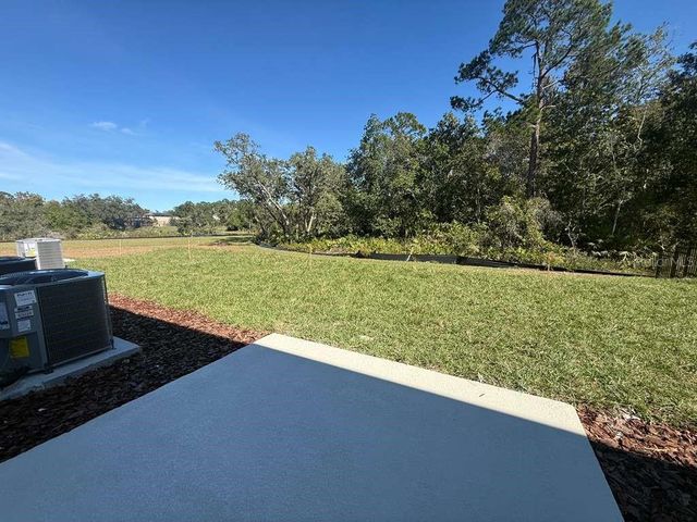 2818 RAINDROP RUN STREET, Clermont, FL 34714