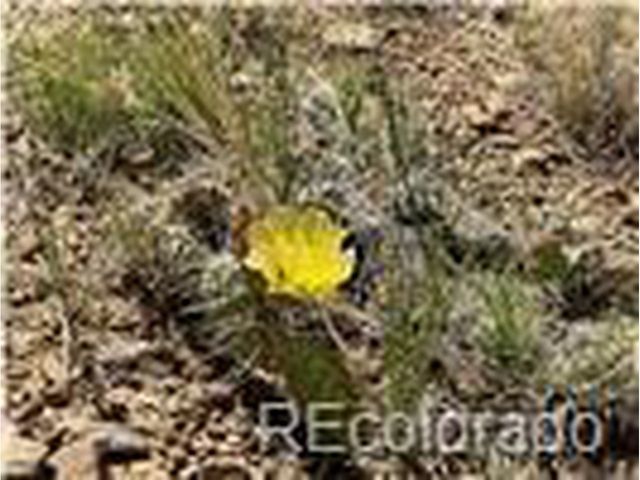 589 La Deora Blvd, Walsenburg, CO 81089