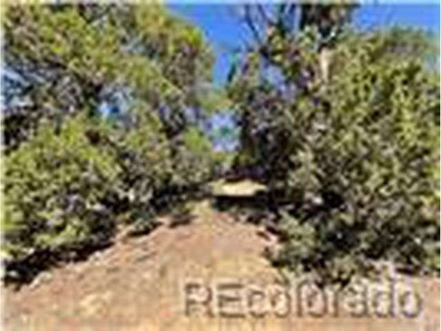 589 La Deora Blvd, Walsenburg, CO 81089