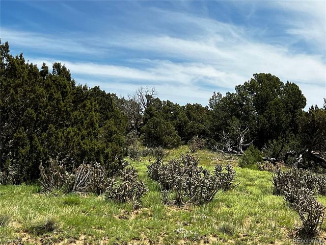 589 La Deora Blvd, Walsenburg, CO 81089
