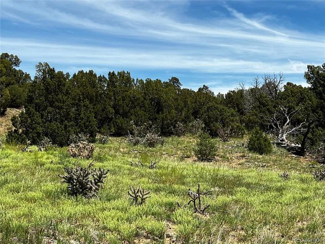 589 La Deora Blvd, Walsenburg, CO 81089
