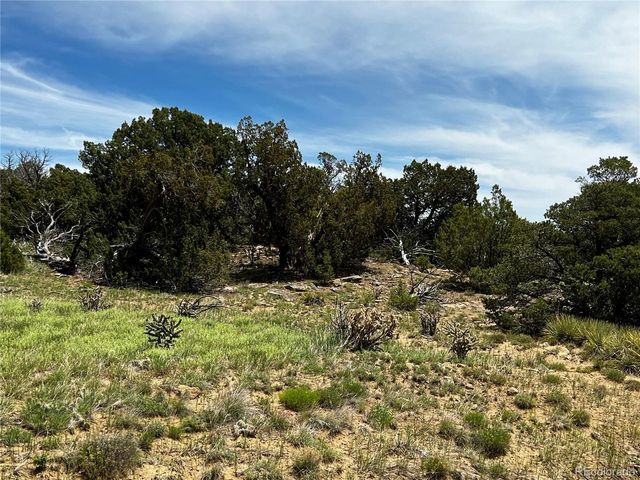 589 La Deora Blvd, Walsenburg, CO 81089