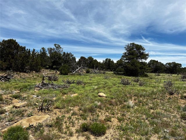 589 La Deora Blvd, Walsenburg, CO 81089
