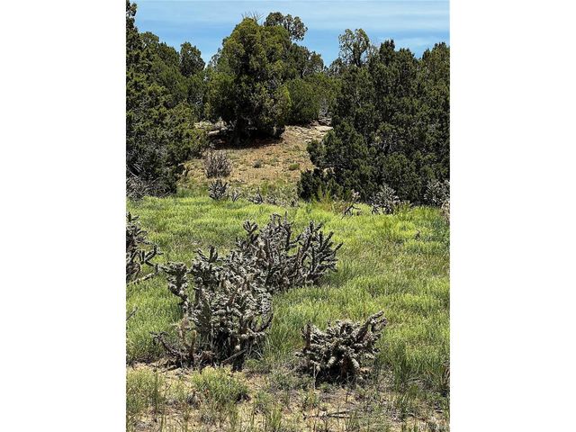 589 La Deora Blvd, Walsenburg, CO 81089