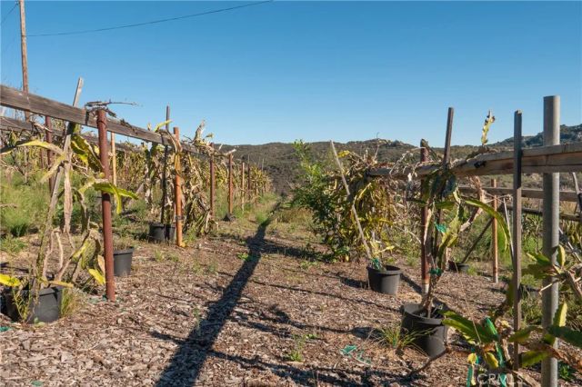 40390 Ross Road, Fallbrook, CA 92028