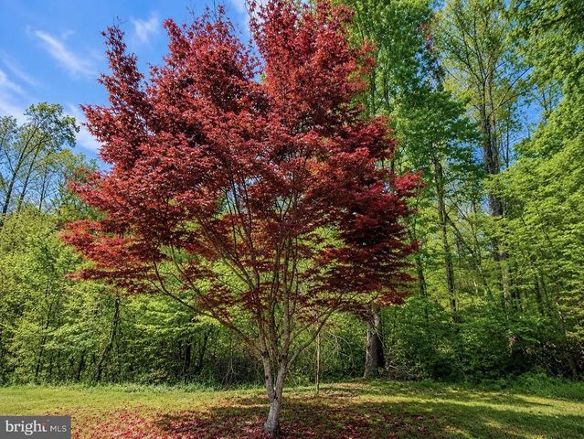 5621 TOWLES MILL RD, Partlow, VA 22534