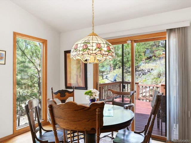 74 Badger Lane, Bailey, CO 80421