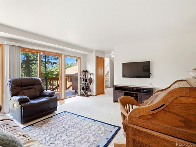 74 Badger Lane, Bailey, CO 80421