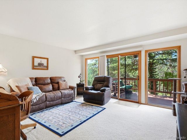 74 Badger Lane, Bailey, CO 80421