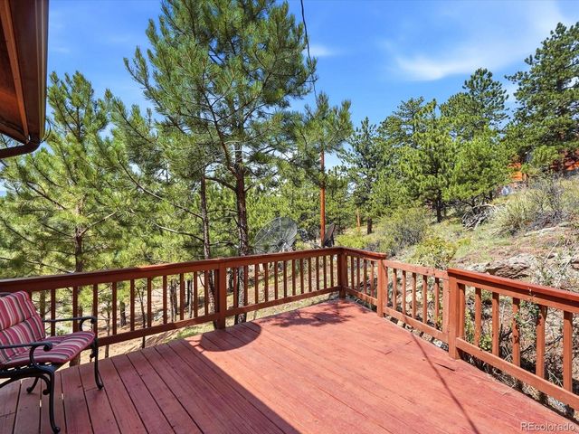 74 Badger Lane, Bailey, CO 80421
