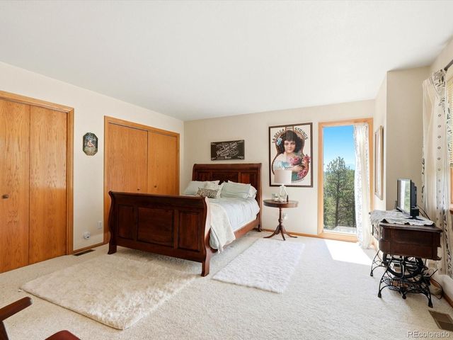 74 Badger Lane, Bailey, CO 80421