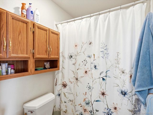 74 Badger Lane, Bailey, CO 80421