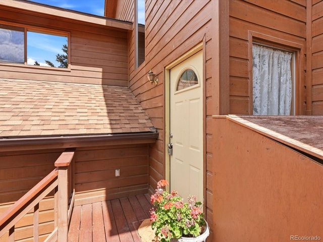 74 Badger Lane, Bailey, CO 80421