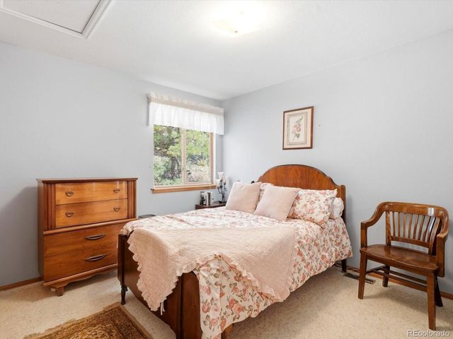 74 Badger Lane, Bailey, CO 80421
