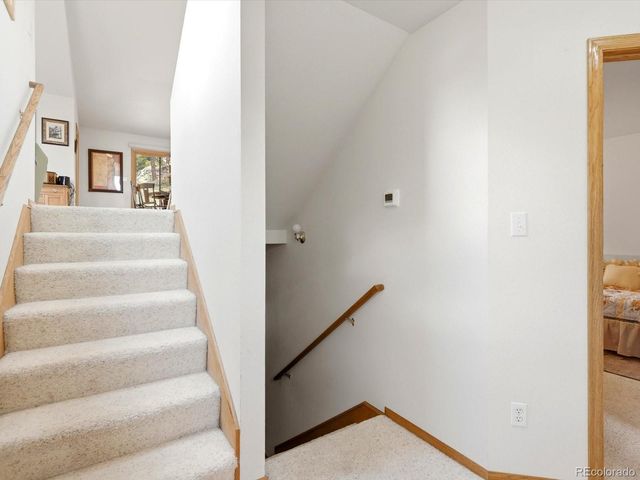 74 Badger Lane, Bailey, CO 80421