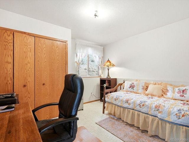 74 Badger Lane, Bailey, CO 80421