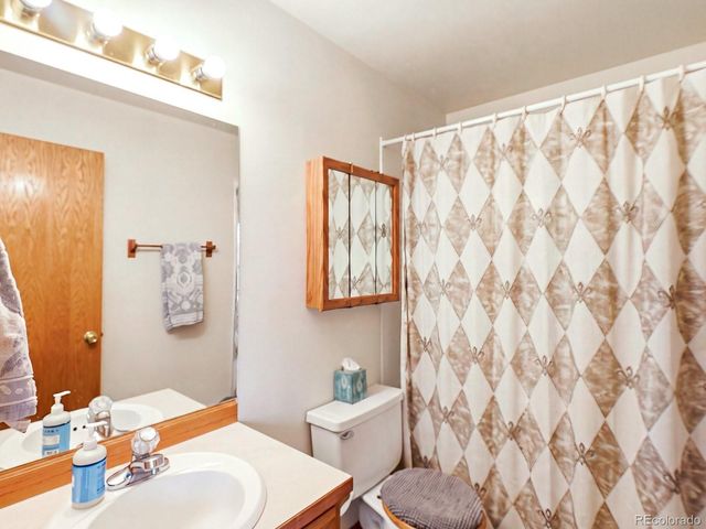 74 Badger Lane, Bailey, CO 80421