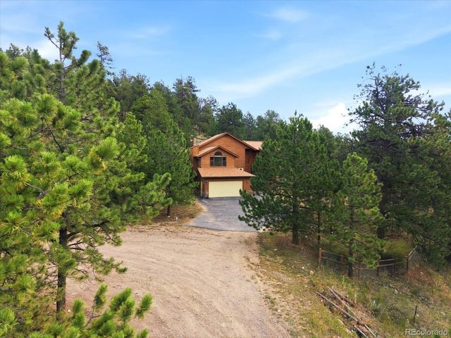 74 Badger Lane, Bailey, CO 80421