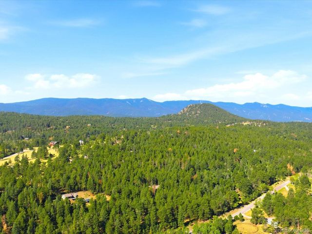74 Badger Lane, Bailey, CO 80421