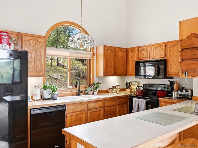74 Badger Lane, Bailey, CO 80421