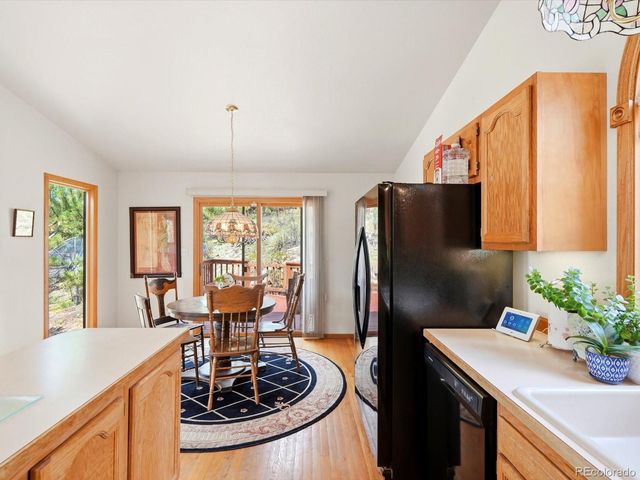 74 Badger Lane, Bailey, CO 80421