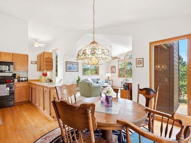 74 Badger Lane, Bailey, CO 80421