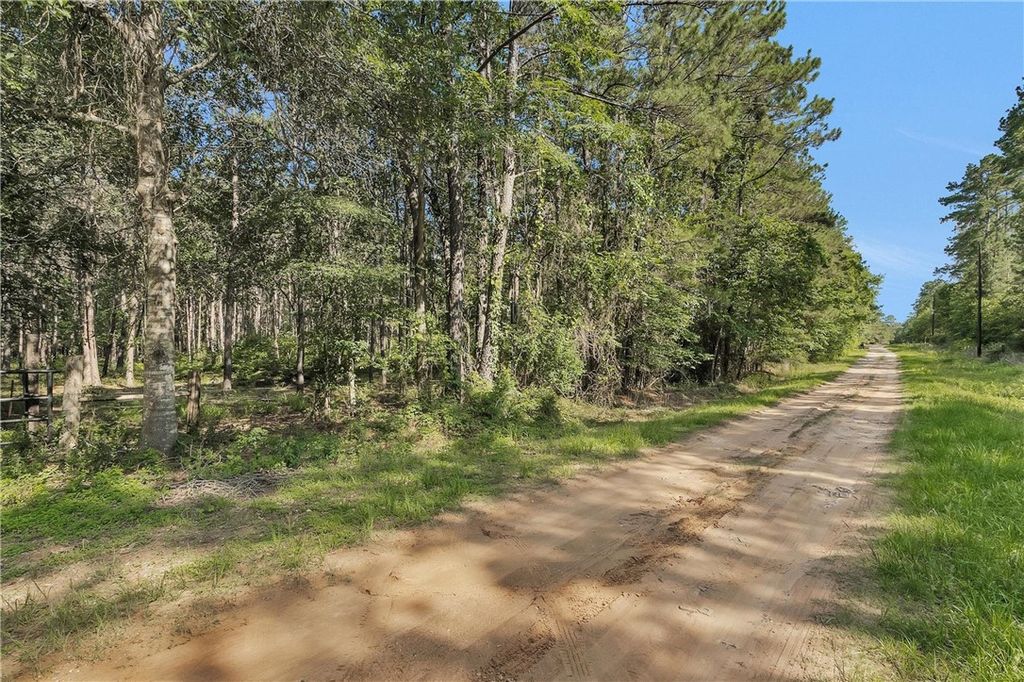 6493 Planters Row Lane, Plantersville, TX 77363 — exterior