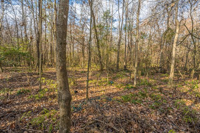126 Sarmiento Lane, Summerville, SC 29483