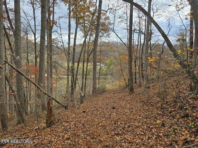 3263 Trents Chapel Road, Sneedville, TN 37869