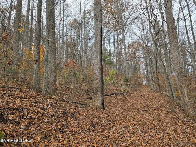 3263 Trents Chapel Road, Sneedville, TN 37869