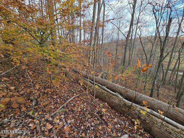 3263 Trents Chapel Road, Sneedville, TN 37869