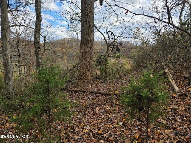 3263 Trents Chapel Road, Sneedville, TN 37869