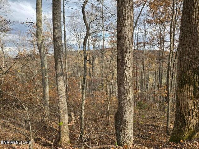 3263 Trents Chapel Road, Sneedville, TN 37869