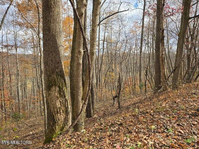 3263 Trents Chapel Road, Sneedville, TN 37869