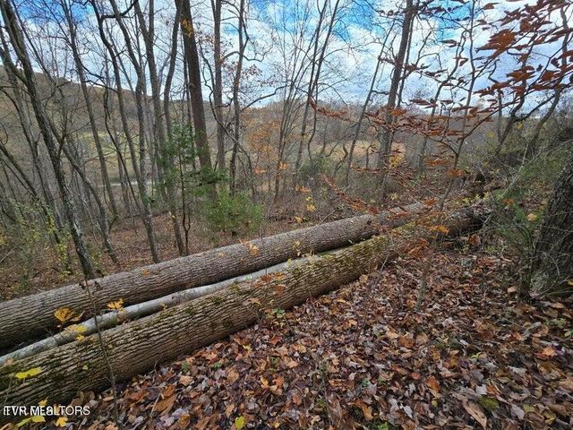 3263 Trents Chapel Road, Sneedville, TN 37869