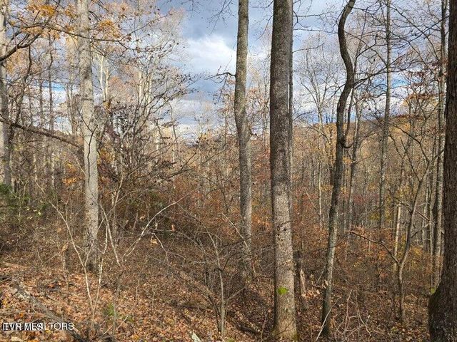 3263 Trents Chapel Road, Sneedville, TN 37869