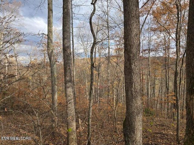 3263 Trents Chapel Road, Sneedville, TN 37869