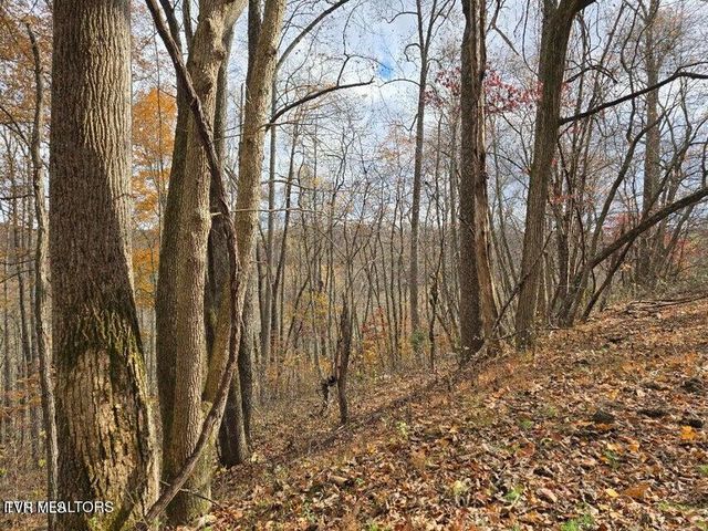 3263 Trents Chapel Road, Sneedville, TN 37869