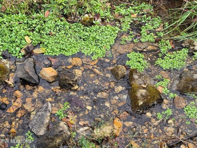 3263 Trents Chapel Road, Sneedville, TN 37869