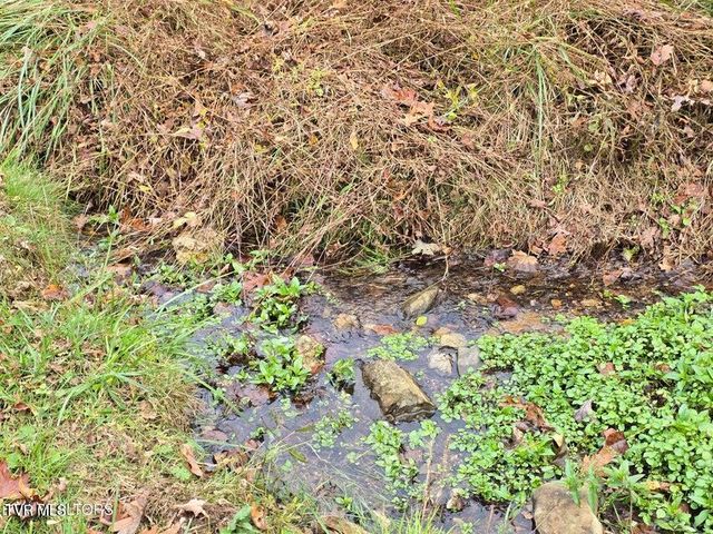 3263 Trents Chapel Road, Sneedville, TN 37869