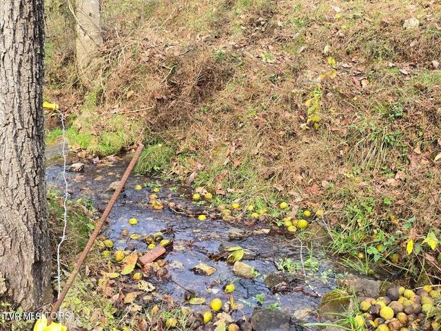 3263 Trents Chapel Road, Sneedville, TN 37869