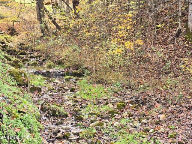 3263 Trents Chapel Road, Sneedville, TN 37869