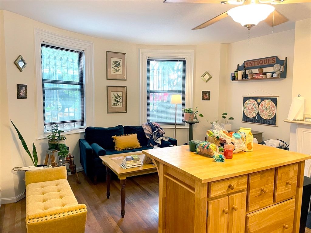 81 E Brookline St 1, Boston, MA 02446