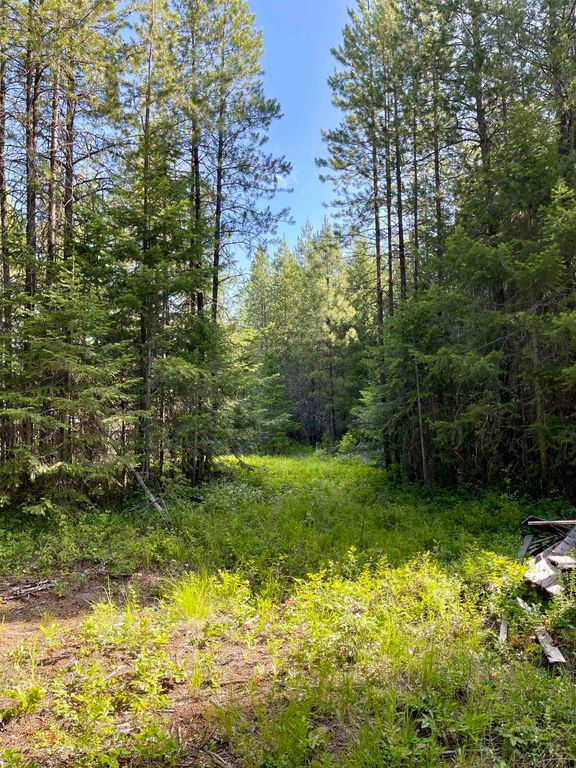 3900 Veit Rd, Newport, WA 99156