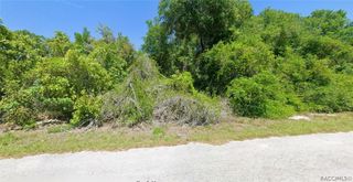 4363 E Wharf Lane, Hernando, FL 34442
