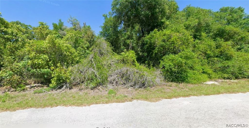 4363 E Wharf Lane, Hernando, FL 34442
