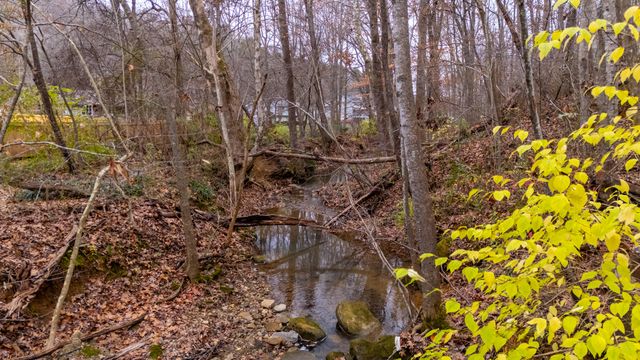 217 Lynnolen Lane, Chattanooga, TN 37415